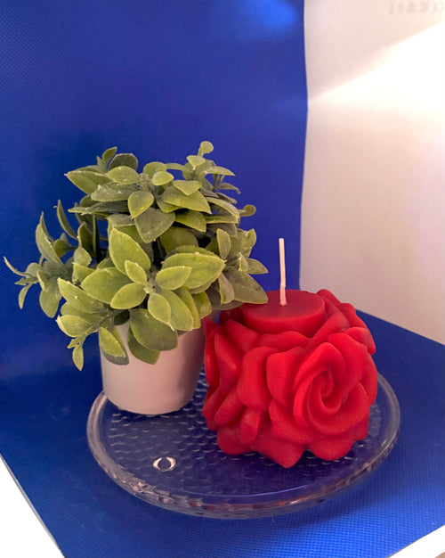 Blooming Apple rose candle/w glass